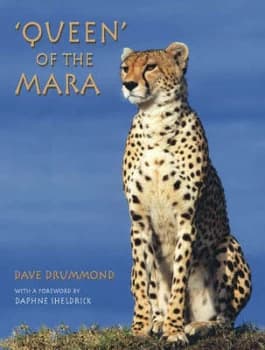 Image of queen of the Mara by Dave Drummond Hardback