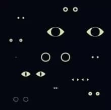 Image of Christina Bjorkoe: Animal Universe