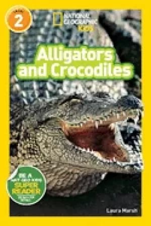 Image of alligators and crocodiles