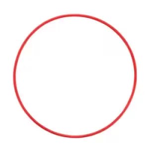 Image of Olympus POL-EP14 O-Ring for PT-EP14