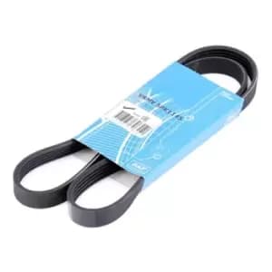 Image of SKF V-ribbed belt FORD,FIAT,MITSUBISHI VKMV 5PK1145 55191970,55232449,55249821 71732350,55191970,55232449,55249821,71732350,1535422,2009266,9S518620BA