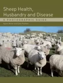 Image of Sheep Health, Husbandry and Disease : A Photographic Guide