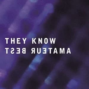 Image of Amateur Best - They Know 12" Vinyl