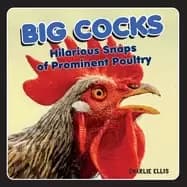 Image of big cocks hilarious snaps of prominent poultry