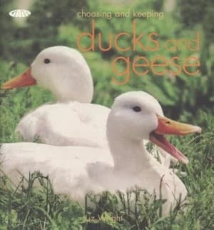 Image of Choosing and Keeping Ducks and Geese by Liz Wright Paperback