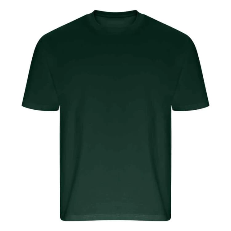 Image of Ecologie Ecologie Men Arrow Heavy Oversized T-Shirt in Green Size: X-Small Green XS Male 5063703819060