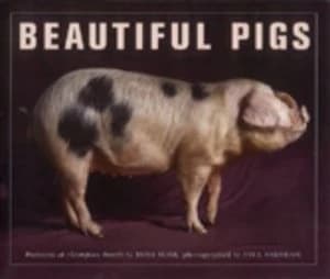 Image of Beautiful Pigs by Andy Case Paperback