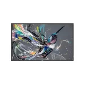Image of Philips 65 65BDL3511Q/00 Display