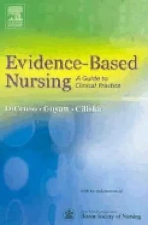 Image of evidence based nursing a guide to clinical practice