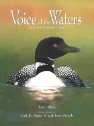 Image of voice of the waters a day in the life of a loon
