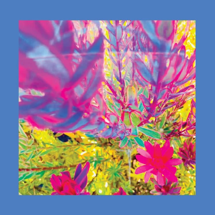 Image of The Past Is a Garden I Never Fed Vinyl