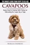 Image of cavapoos the owners guide from puppy to old age buying caring for grooming