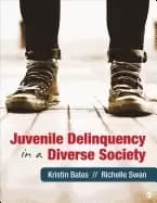 Image of juvenile delinquency in a diverse society