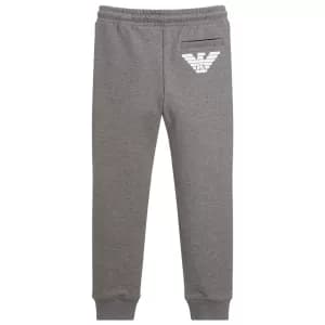 Image of EA7 Boys' Train Logo Series Tape Sweatpants - Grey - 12 Years