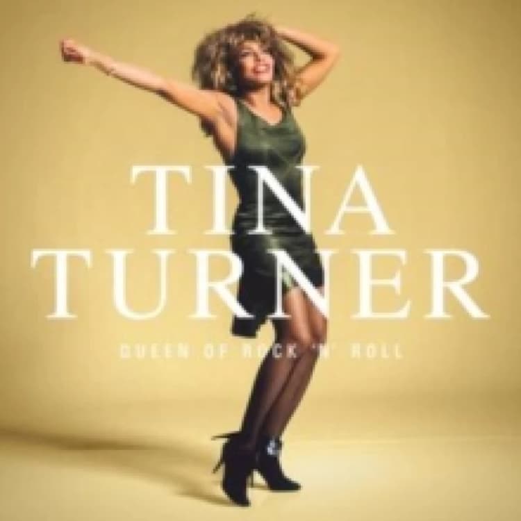 Image of Tina Turner Queen Of Rock 'N' Roll Vinyl LP Black unisex