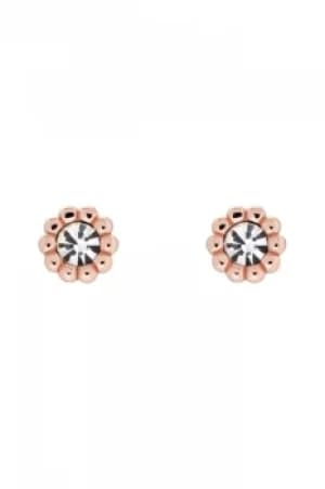 Image of Ted Baker Perella Crystal Nano Stud Earring TBJ2802-24-02