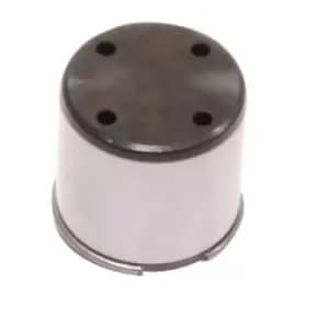 Image of HITACHI Plunger, high pressure pump 2503059 VW,AUDI,SKODA,Golf V Schragheck (1K1),TOURAN (1T1, 1T2),Passat Variant (3C5),GOLF VI (5K1)