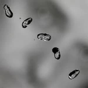 Image of Peter Gabriel - Up