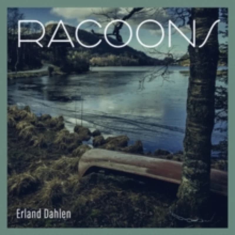Image of Racoons Vinyl
