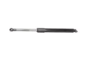 Image of RIDEX Tailgate strut BMW 219G0059 51248171480,51248172845