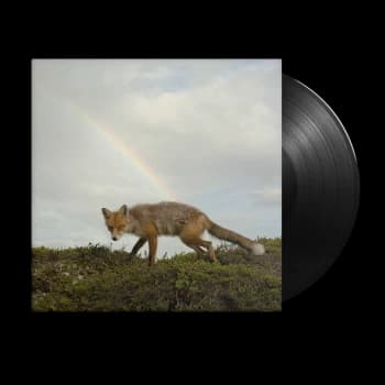 Image of Buck Meek - Buck Meek Vinyl