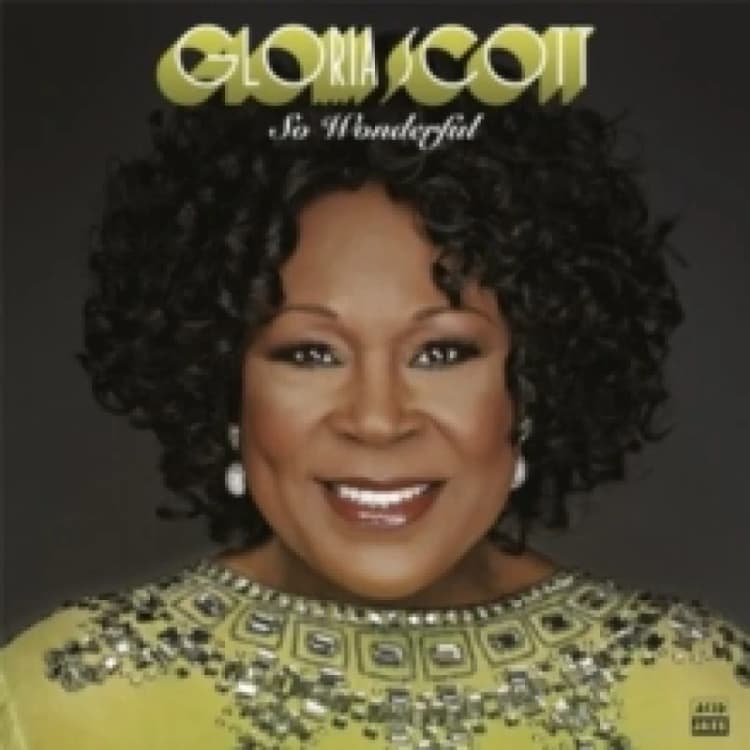 Image of So Wonderful Vinyl