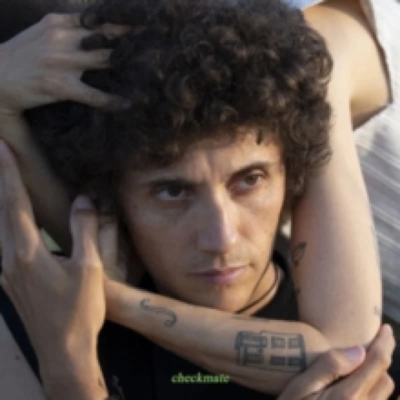 Image of Checkmate Vinyl