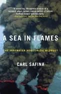 Image of sea in flames the deepwater horizon oil blowout