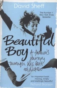 Image of Beautiful Boy by David Sheff Paperback