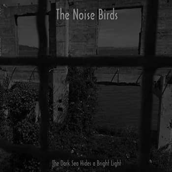 Image of The Noise Birds - The Dark Sea Hides a Bright Light Vinyl