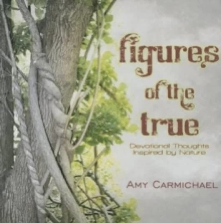 Image of FIGURES OF THE TRUE Paperback