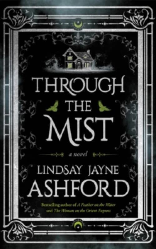 Image of Through the Mist : A Novel Paperback / softback
