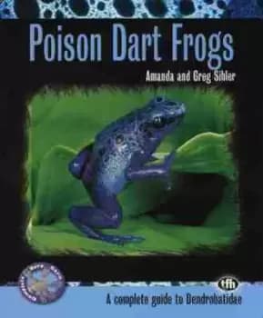 Image of Poison dart frogs by Amanda Sihler