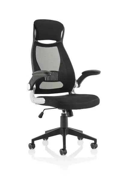 Image of Dynamic Office Solutions Saturn Executive Chair EX000241