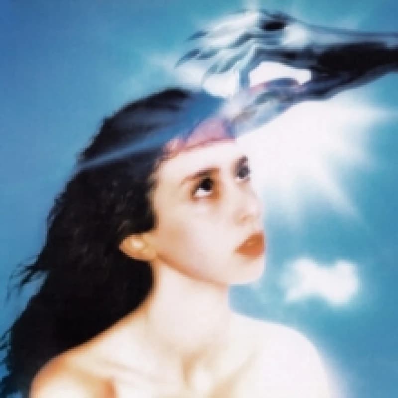 Image of Imaginal disk Vinyl