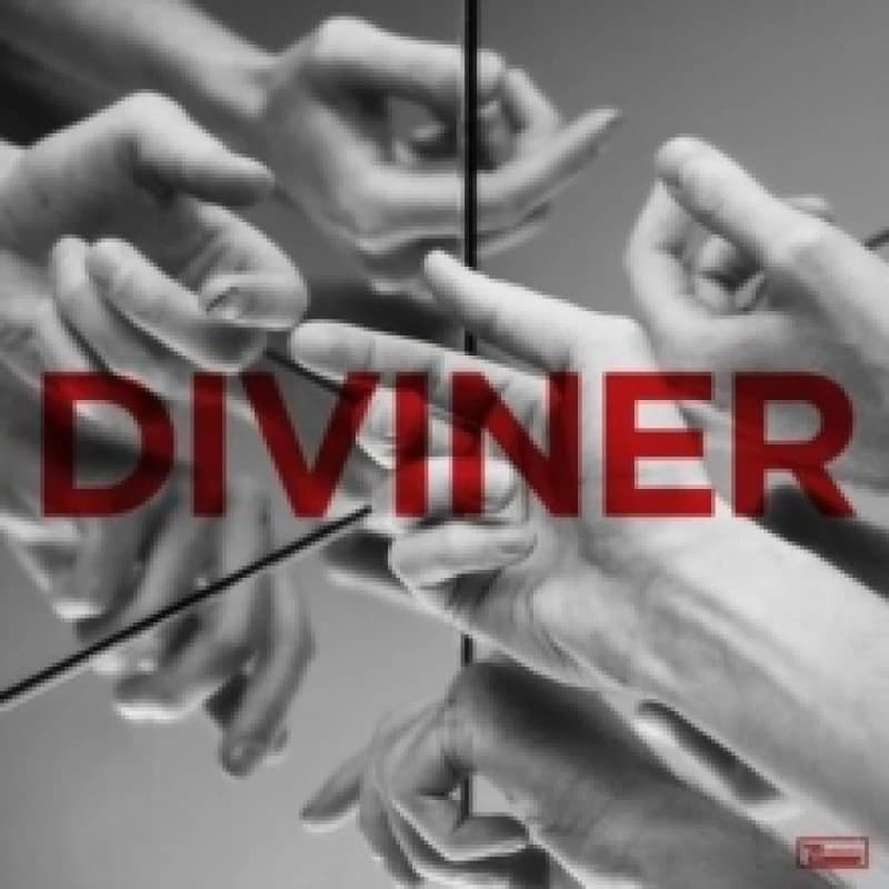 Image of Diviner Vinyl
