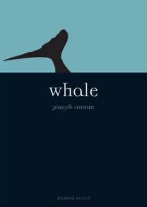 Image of Whale by Joe Roman