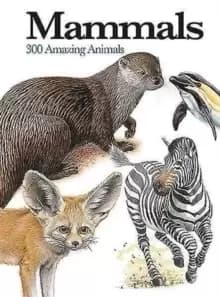 Image of Mammals : 300 Amazing Animals