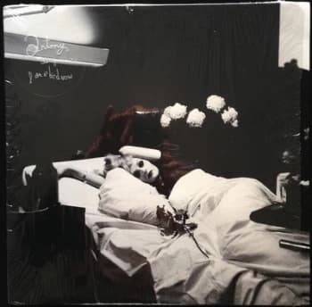 Image of I Am a Bird Now by Antony & The Johnsons CD Album