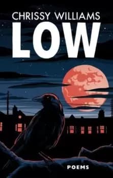 Image of Low by Chrissy Williams