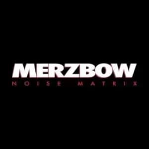 Image of Noise Matrix by Merzbow Vinyl Album