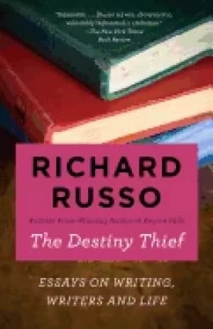 Image of destiny thief essays on writing writers and life