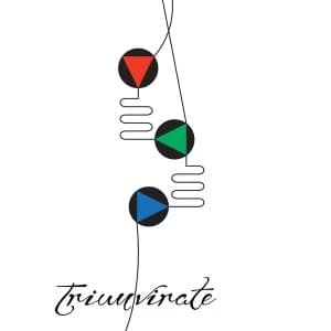 Image of Carter Tutti Void - Triumvirate Vinyl