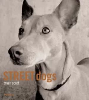 Image of Street dogs by Traer Scott