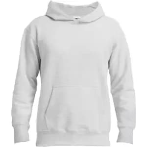 Image of Gildan Adults Unisex Hammer Hooded Sweatshirt (M) (Ash)