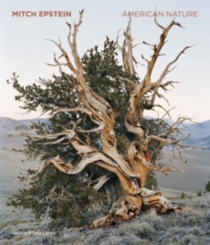 Image of Mitch Epstein : American Nature Hardback