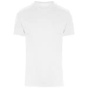 Image of AWDis Adults Unisex Just Cool Urban Fitness T-Shirt (M) (Arctic White)