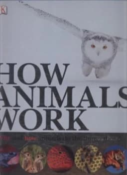 Image of How Animals Work by David Burnie Hardback