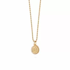 Image of Daisy London Jewellery 18ct Gold Plated Sterling Silver Isla Sundial Shell Necklace 18Ct Gold Plate