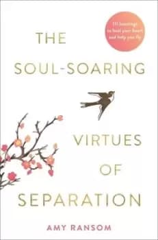 Image of The soul-soaring virtues of separation by Amy Ransom